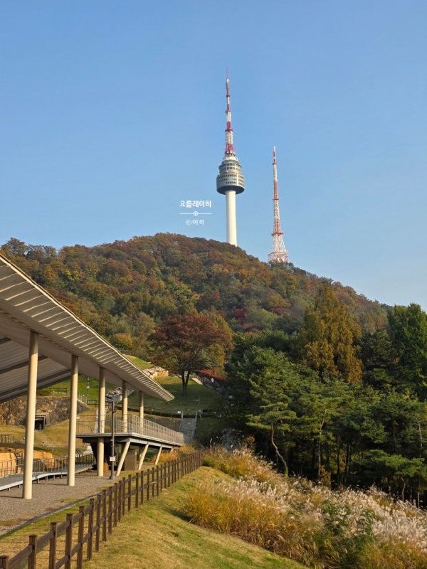 南山公园秋景